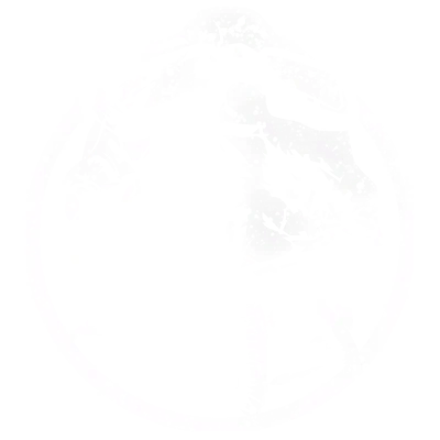 Icon insignia in Star Wars Galactic Racer