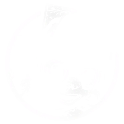 Icon insignia in Star Wars Galactic Racer