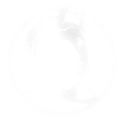 Icon insignia in Star Wars Galactic Racer