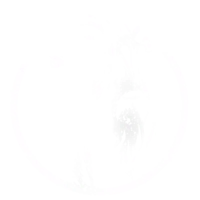 Icon insignia in Star Wars Galactic Racer
