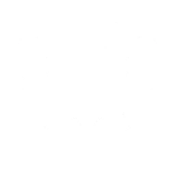 Shield in Star Wars Galactic Racer