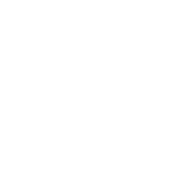 Slipstreamer racer style in Star Wars Galactic Racer